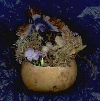1999 hummer nest