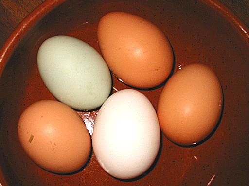 Green egg in bowl with other eggs.