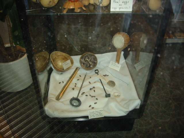 Children's 
Display Case, Bottom