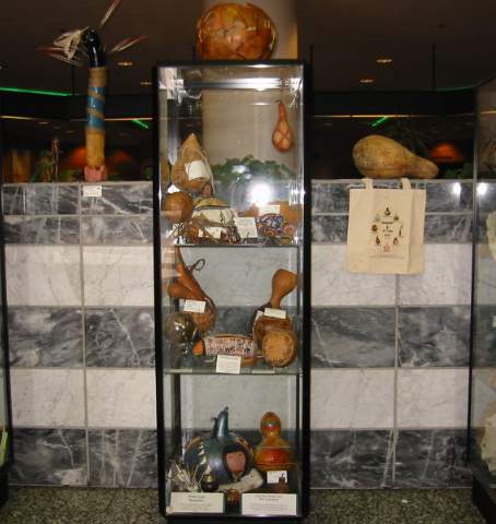 Central display Case
